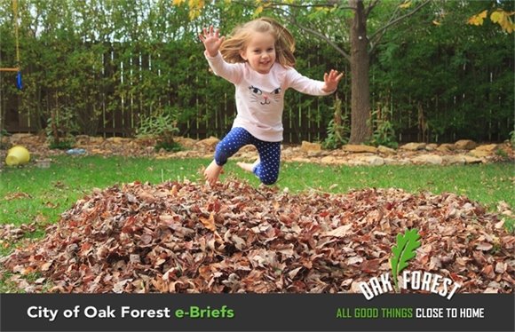 City of Oak Forest e-Briefs