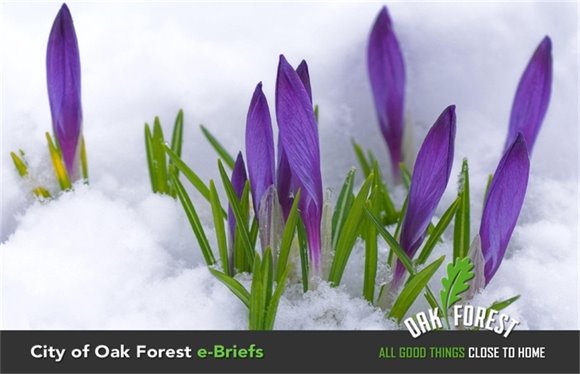 City of Oak Forest e-briefs