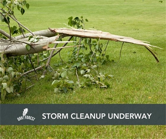 Storm Cleanup Underway