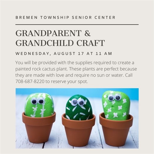 Bremen Township Senior craft event