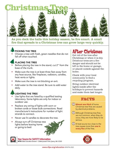 Christmas Tree Safety