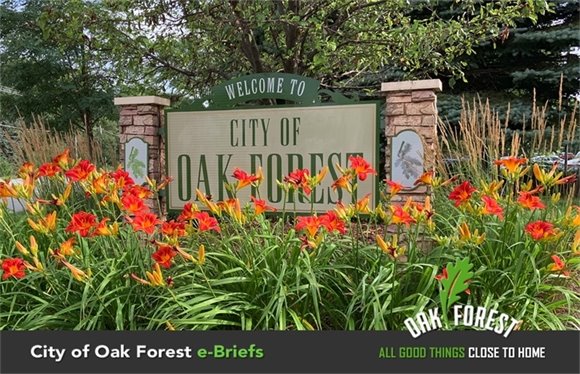 Welcome to Oak Forest