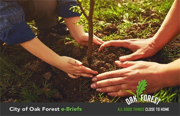 City of Oak Forest e-Briefs