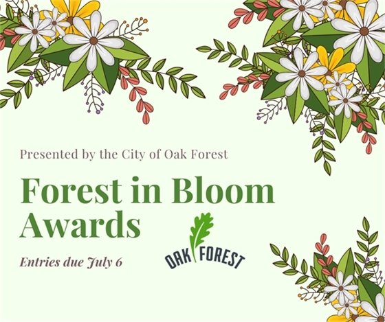 Forest in Bloom application
