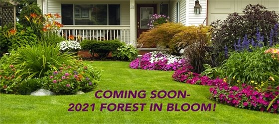 2021 Forest in Bloom