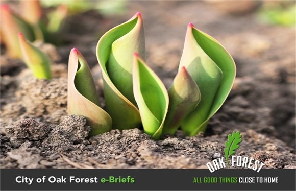 City of Oak Forest e-Briefs