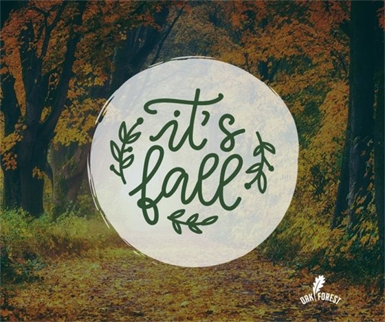 First day of fall is September 23