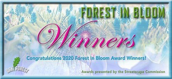 Forest in Bloom Winners