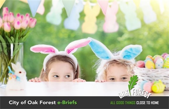 City of Oak Forest e-Briefs