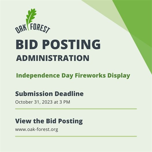 Independence Day Fireworks Bid
