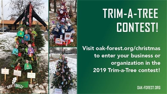 Christmas Parade and Tree Lighting Ceremony 2019